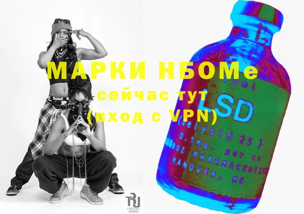 гидра Ленинск-Кузнецкий