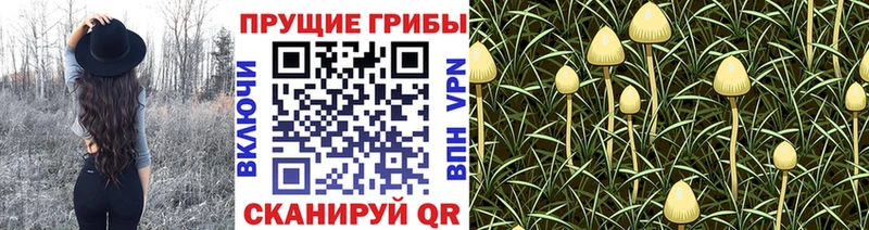 OMG ТОР  Первоуральск  Галлюциногенные грибы ЛСД  продажа наркотиков 