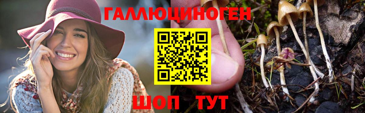 Галлюциногенные грибы мухоморы Первоуральск